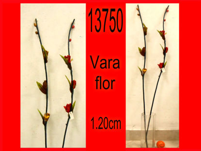 Imagen de VARA DE FLORES 1.20  COLOR 5.23